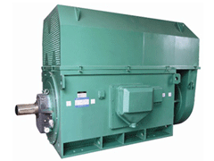 兴平Y系列6KV高压电机生产厂家